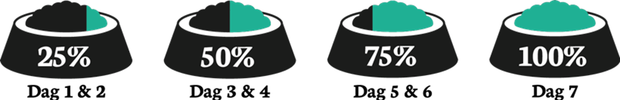 stappenplan-overstappen-kattenvoer