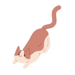 lichaamshouding-alert