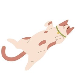 relaxed-body-posture-cats